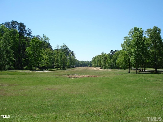 view of home's community with a yard