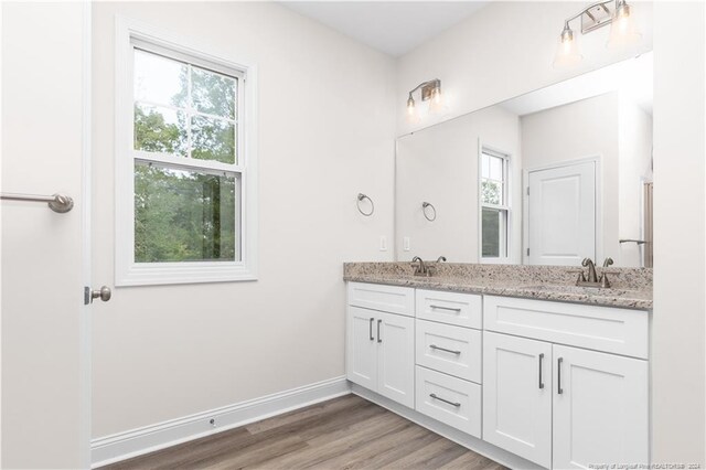 bathroom featuring double vanity and wood-type flooring