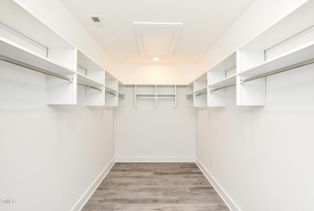 walk in closet with wood-type flooring