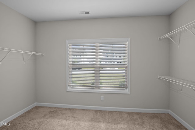 walk in closet featuring carpet flooring