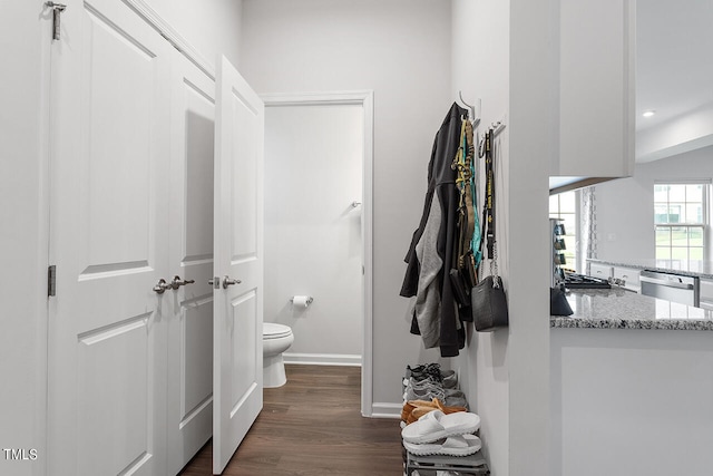 bathroom with toilet, hardwood / wood-style flooring, and vanity