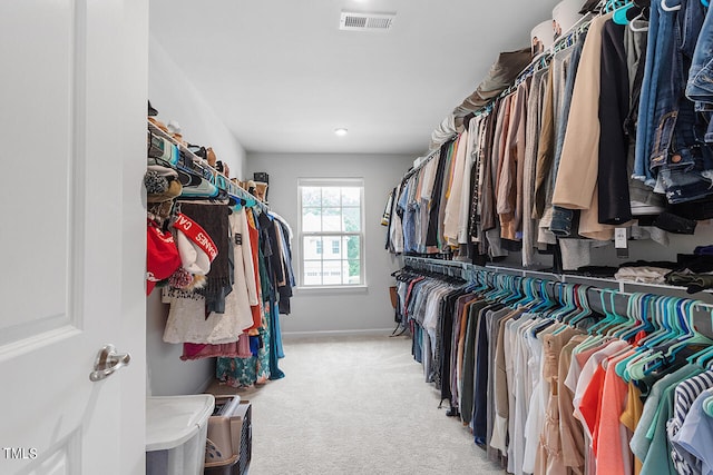 spacious closet featuring carpet flooring