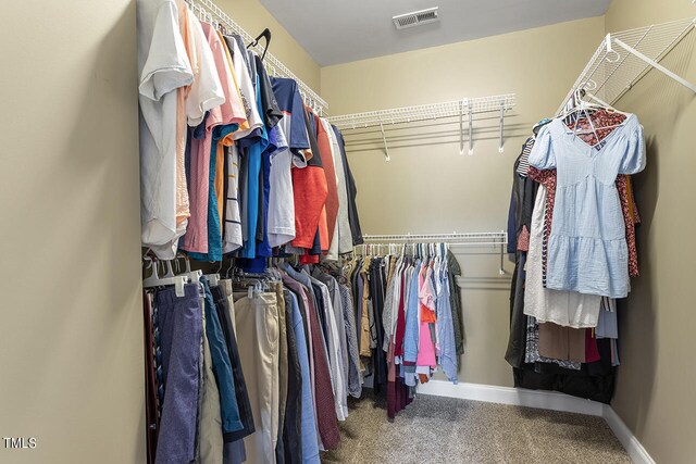 spacious closet featuring carpet flooring