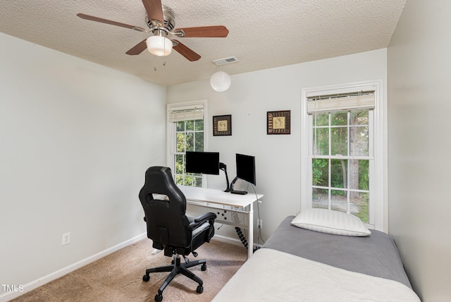 home office with a wealth of natural light, carpet flooring, and a textured ceiling