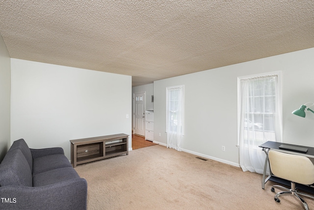 living room with carpet floors and a textured ceiling