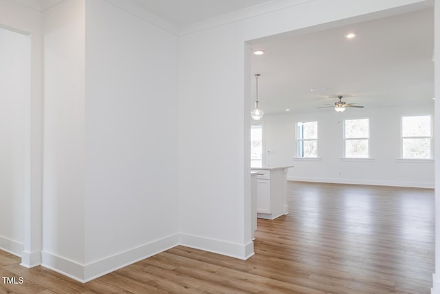 empty room featuring light hardwood / wood-style flooring, ceiling fan, and crown molding