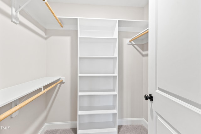 walk in closet with carpet