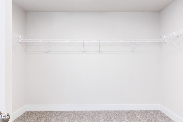 592 Barbour Farm Ln, Four Oaks, NC 27524 - spacious closet with carpet flooring