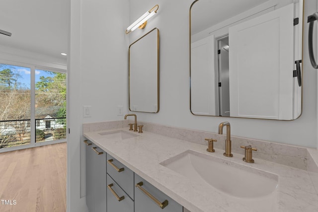 bathroom with hardwood / wood-style floors and vanity