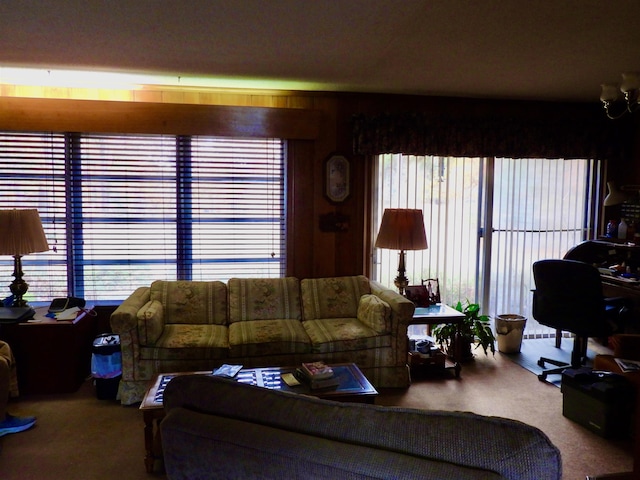 carpeted living room with plenty of natural light