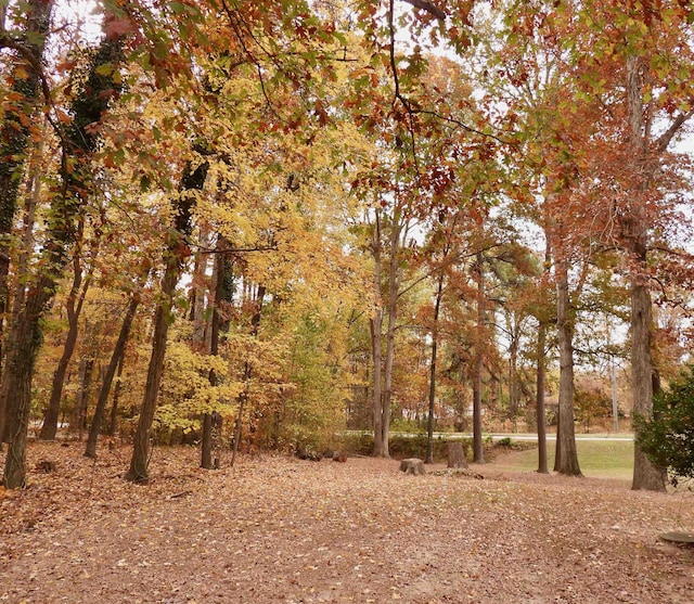 view of local wilderness