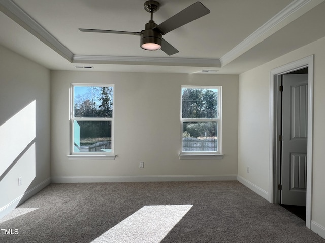 empty room with carpet flooring, crown molding, and a healthy amount of sunlight