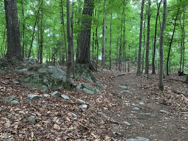 7811 Still Crossing Rd, Chapel Hill, NC 27516 - view of wooded area