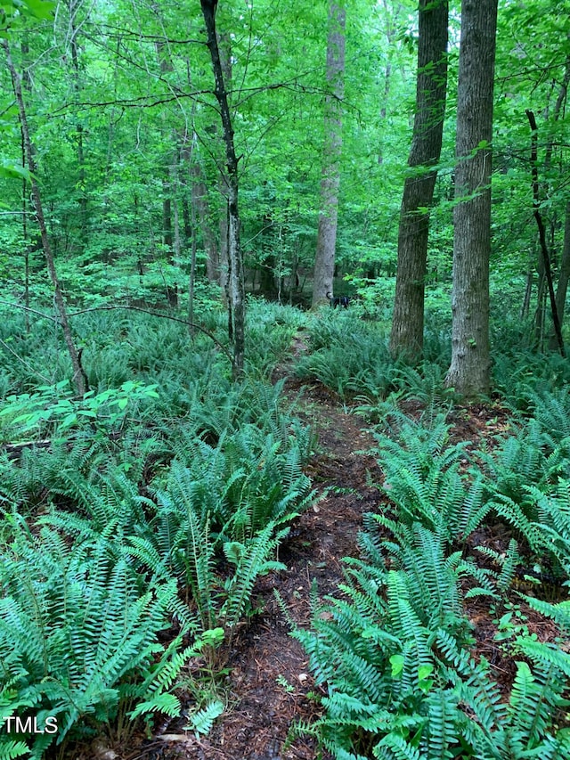 7811 Still Crossing Rd, Chapel Hill, NC 27516 - view of undeveloped land