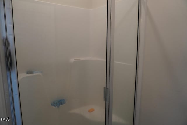 bathroom with walk in shower