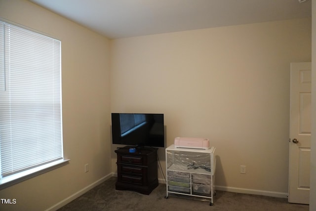 miscellaneous room featuring dark carpet