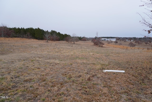 view of yard with a rural view