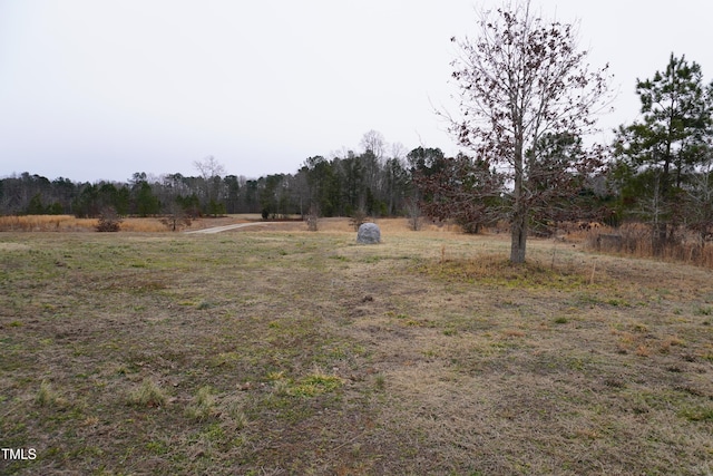 view of yard featuring a rural view