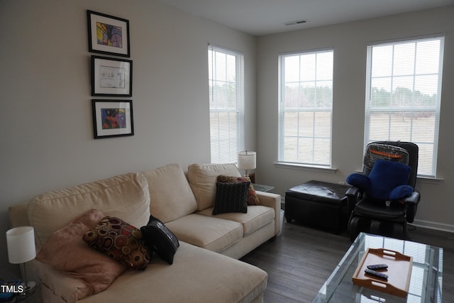 living room featuring hardwood / wood-style floors