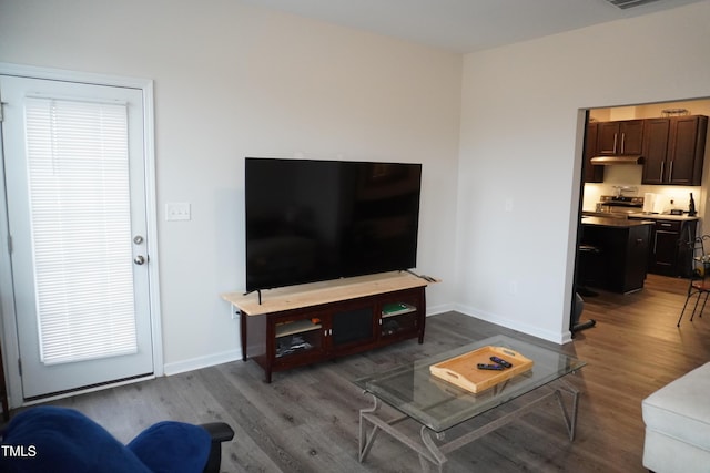 living room featuring hardwood / wood-style flooring