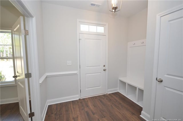 mudroom featuring dark wood-type flooring and a wealth of natural light