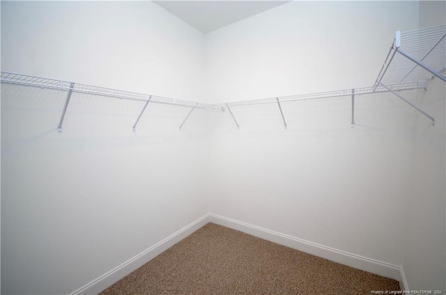 spacious closet with carpet floors