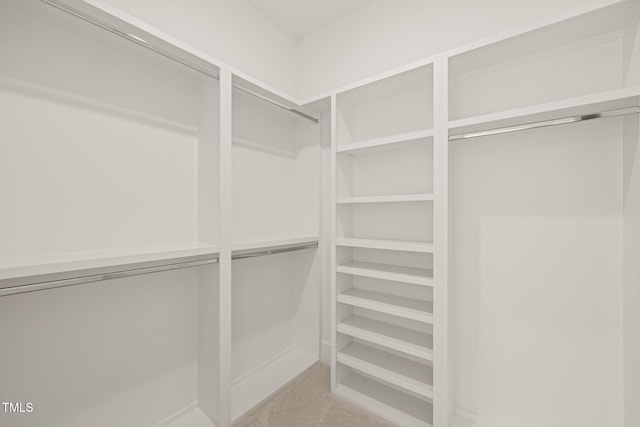 walk in closet featuring carpet