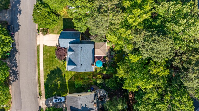 bird's eye view