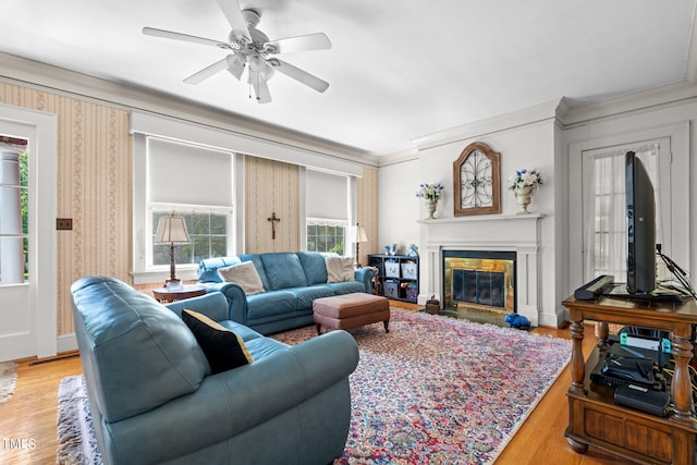 living room with ceiling fan, crown molding, and wood-type flooring