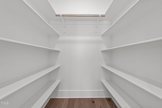 spacious closet featuring wood-type flooring