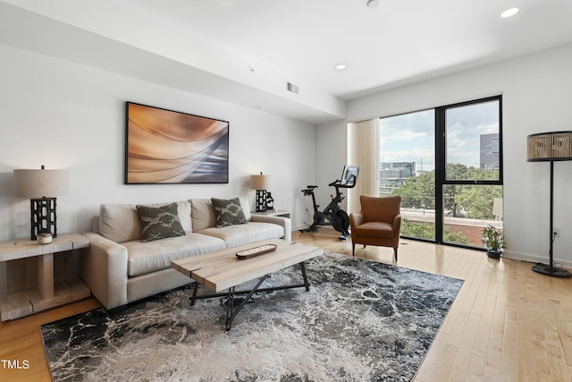 living room with hardwood / wood-style floors