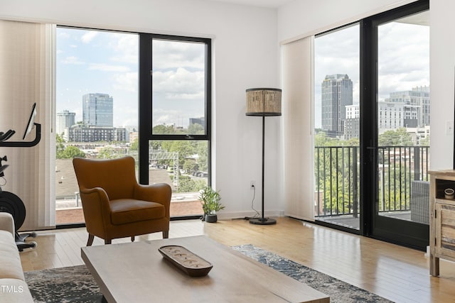 interior space featuring hardwood / wood-style floors and a healthy amount of sunlight