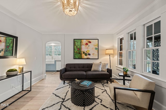 living room featuring ornamental molding and light wood-type flooring