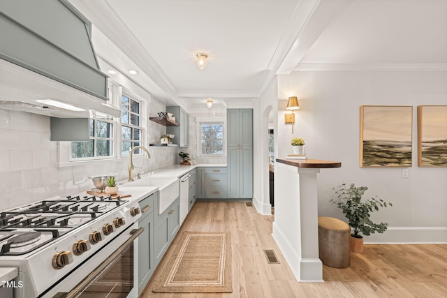 kitchen featuring high end range, sink, ornamental molding, tasteful backsplash, and light hardwood / wood-style floors