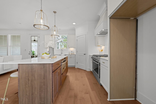 kitchen with white cabinetry, a center island, light hardwood / wood-style flooring, premium range hood, and appliances with stainless steel finishes