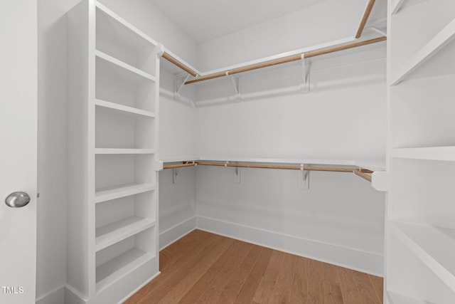 spacious closet with hardwood / wood-style flooring