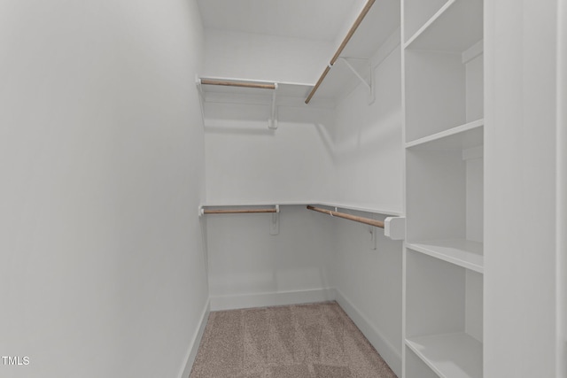 walk in closet featuring light colored carpet