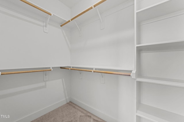 walk in closet featuring carpet flooring