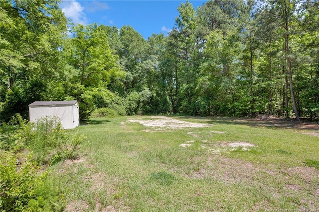 view of yard featuring a shed