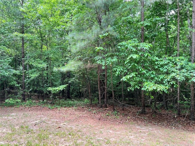 Listing photo 3 for 170 Filly Run Ln, Carthage NC 28327