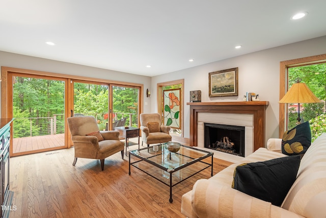 living room with a wealth of natural light and light hardwood / wood-style floors