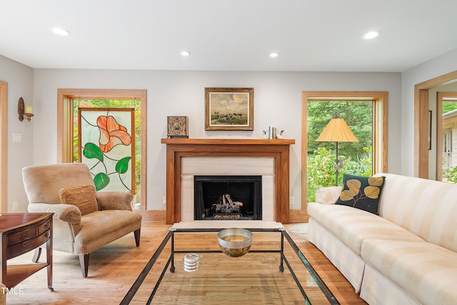 living room with light hardwood / wood-style flooring