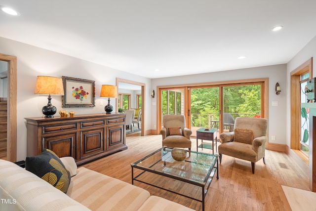 living room with light hardwood / wood-style flooring