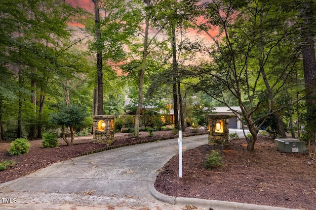 view of home's community featuring driveway