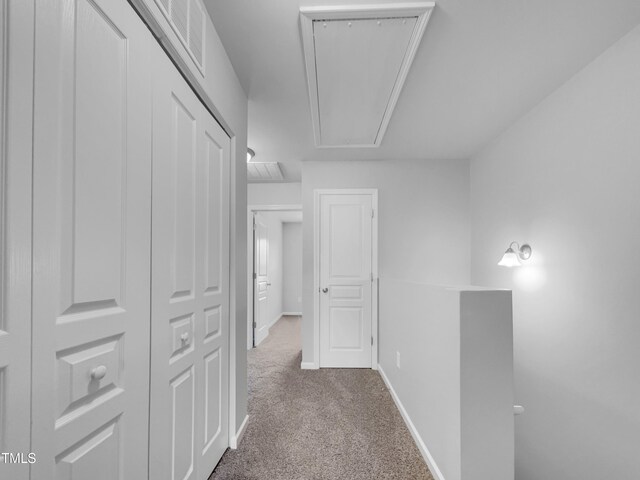 hallway featuring carpet floors