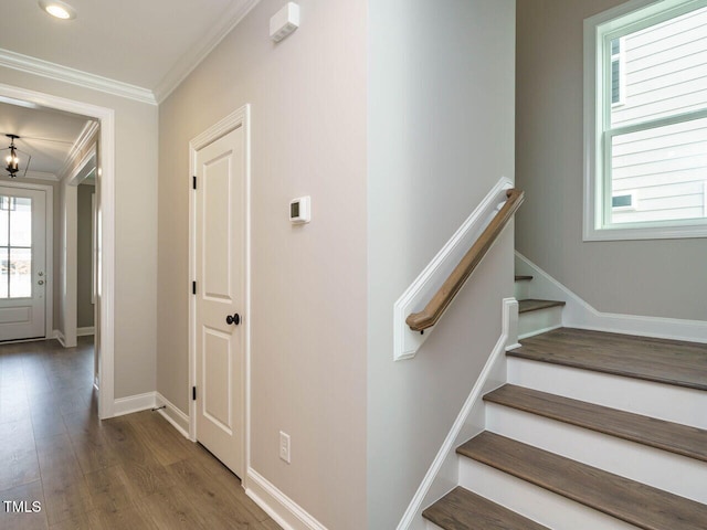 1721 Grassy Falls Ln, Wendell, NC 27591 - photo 5