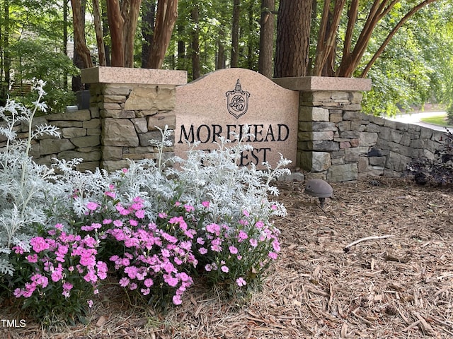 70005 Morehead, Chapel Hill, NC 27517 - photo 33