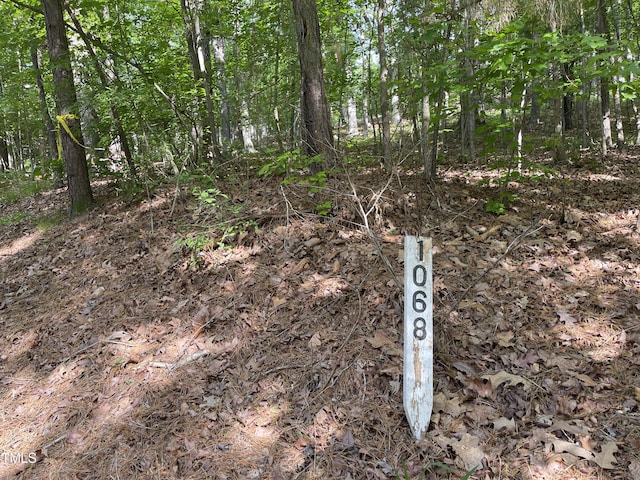 70005 Morehead, Chapel Hill, NC 27517 - photo 3