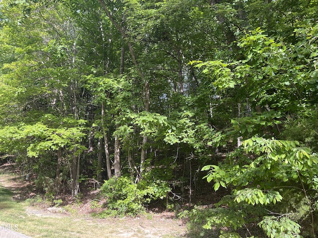 70005 Morehead, Chapel Hill, NC 27517 - photo 1