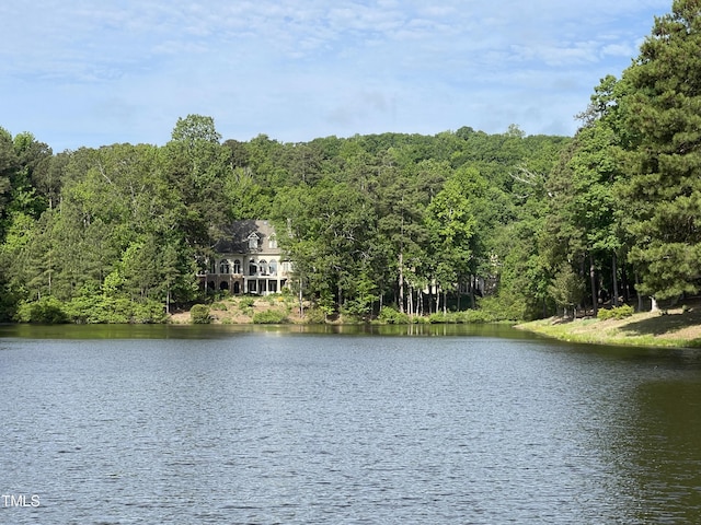 70005 Morehead, Chapel Hill, NC 27517 - photo 34